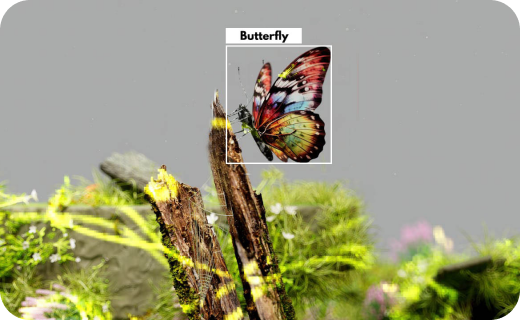 image of a butterfly identified with AI